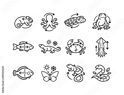 Color Change Icons. Color Change Camouflage. Line icon set of Color Change Camouflage: chameleon shift, octopus change, cuttlefish pattern, frog