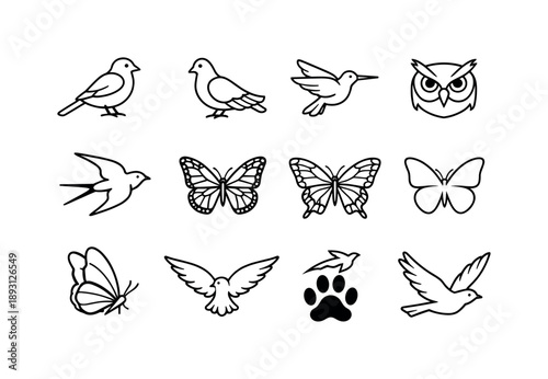 Birds and Butterflies Icons. Bird Species and Butterflies. Line icon set of Bird Species and Butterflies: sparrow bird icon, dove bird outline, hummingbird
