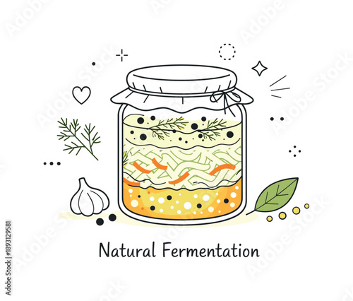 Fermentation in a Jar. Natural fermentation process. Transparent jar showing layers of sauerkraut with liquid and herbs, health and simplicity. Clean editorial