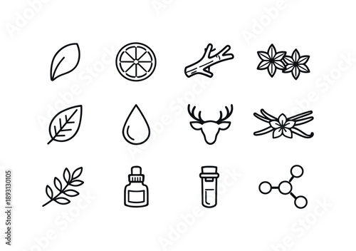 Perfume Ingredients Icons. Perfume ingredients. Line icon set of Perfume ingredients: floral petal, citrus slice, woody branch, spice pod, aromatic leaf, resin