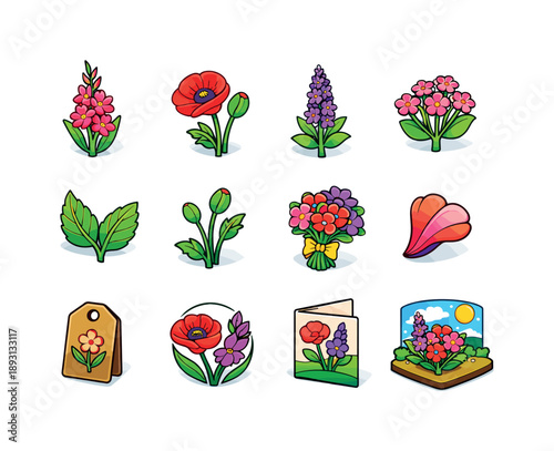 August Birth Flowers. august birth flowers. Colorful isometric vector icons set of august birth flowers: gladiolus, poppy, tall spear bloom, bud cluster, leaf