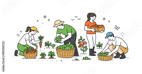 Harvesting Vegetables Together. People harvesting vegetables. Group of people picking fresh vegetables in a garden, calm movements and baskets on the ground.