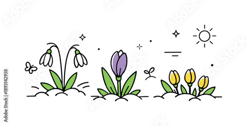 Spring Buds Emerging. Signs of spring. Budding plants pushing through the ground with petals not yet fully open. Quiet visual story of anticipation and natural