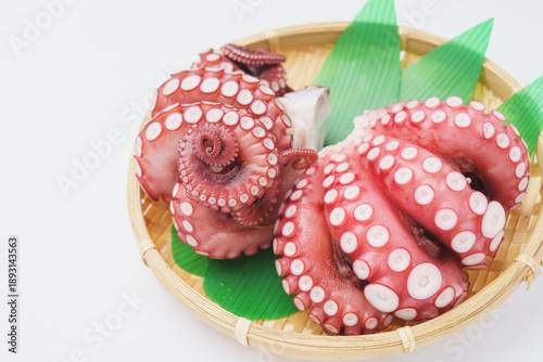 Photos 茹でダコ