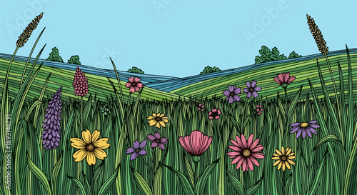 Sunlit meadow with wildflowers and a rustic wooden fence