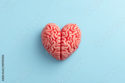 Human brain shaped like heart on light blue background symbolizing love and intelligence in creative concept
