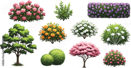 Collection of trees bushes shrubs and flowering plants isolated on white garden landscape elements botanical vector illustration set