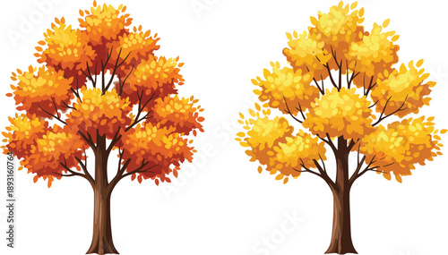 Autumn fall trees with golden and orange foliage isolated on white background vector illustration for seasonal landscape design