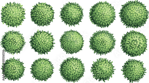 Top view green bushes and shrubs collection isolated on white background vector set for landscape garden map design