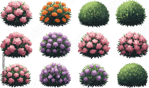 Blooming garden shrub bushes collection with colorful flowers and green foliage landscaping plants isolated on white background vector