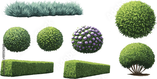 Garden bushes hedges and shrubs collection with green foliage landscaping elements isolated on white background detailed vector illustration
