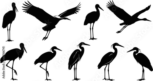 Bird Silhouette Collection Featuring Heron And Stork Poses In Flight And Standing, Minimal Black Vector Wildlife Illustration Set For Nature Design Projects