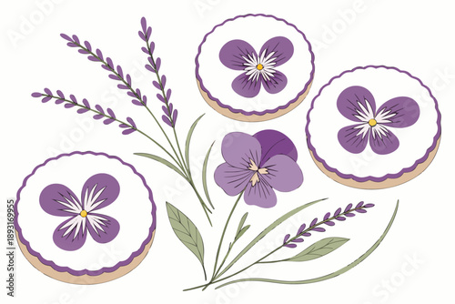 Vector illustration of lavender sprigs and pansy flower decorated round cookies, white background