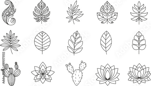 Botanical line icon set featuring leaves flowers cactus and decorative nature elements for logo tattoo and design