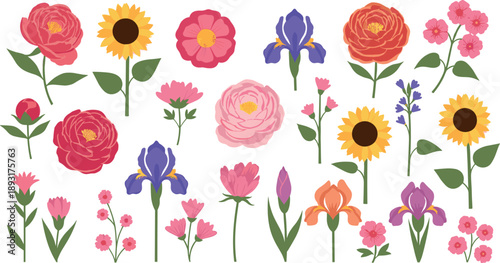 Set of colorful garden flowers roses sunflowers irises tulips and wildflowers flat vector illustration