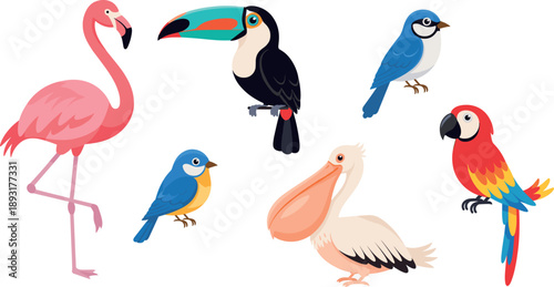 Set of colorful tropical cartoon birds flamingo toucan bluebird pelican and parrot vector illustration