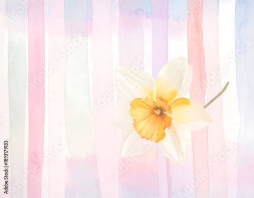 Pastel stripes background with a daffodil, soft focus, watercolor effect, light