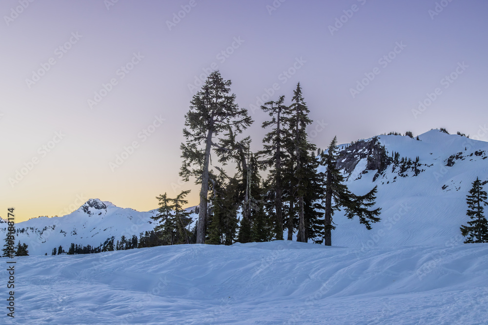 Fototapeta premium winter mountain landscape