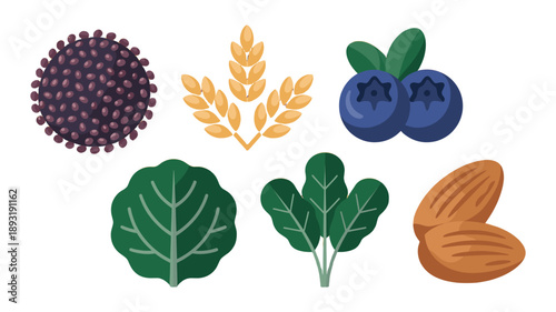 Healthy food ingredients for a balanced diet.