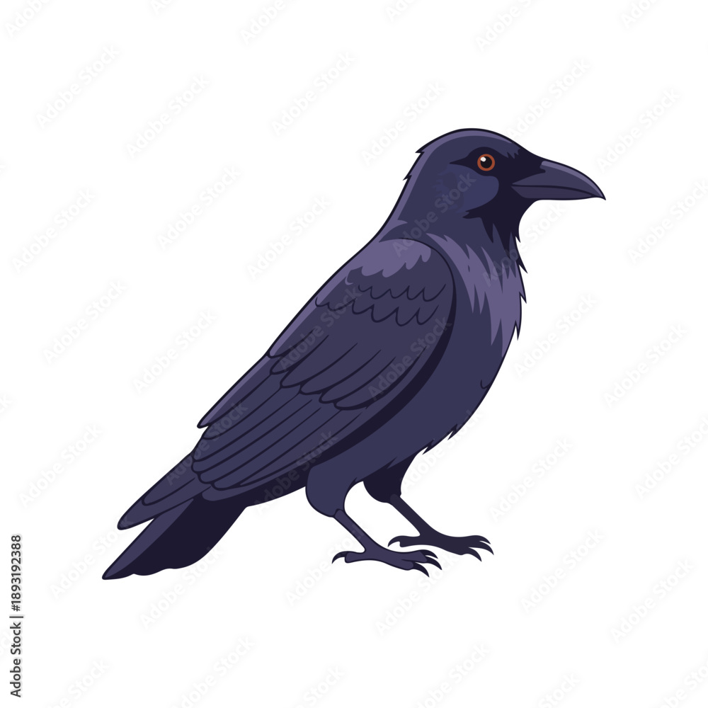 Obraz premium Black Crow or Raven Isolated Vector Illustration