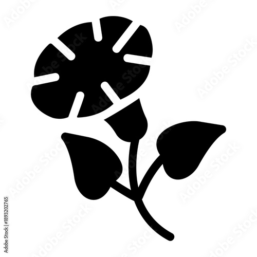 Morning glory Solid icon