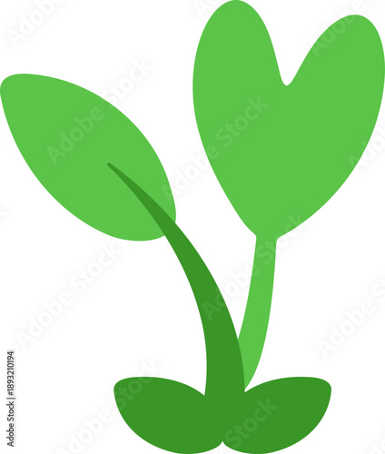 새싹_씨앗_풀_식물
