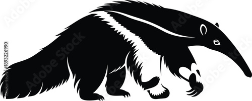 A striking black and white vector illustration of a giant anteater walking with its distinctive long snout and bushy tail, perfect for educational and wildlife content