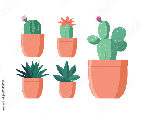 Set of Cactuses in flower pots. Exotic tropical decorative house plants. Flat or cartoon vector illustration for home decor and botanical design. Icons isolated on white background.