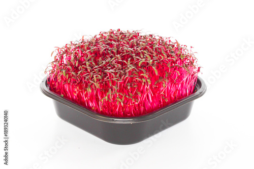 Red Amararath Microgreens in a tray