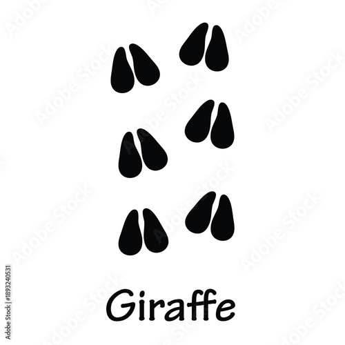 Giraffe Track Footprint Vector,Giraffe Footprint Isolated on White Background