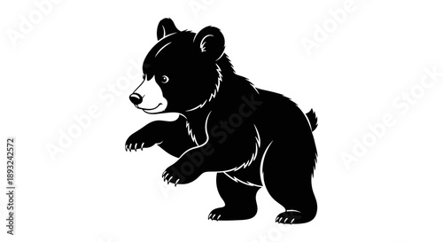 Adorable Black Bear Cub Standing and Looking Curious.