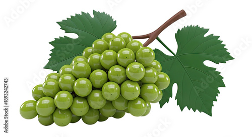 Green Grapes on Vine with Leaves