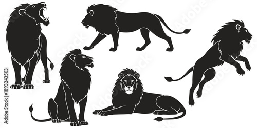 Set of five black lion silhouettes in various poses