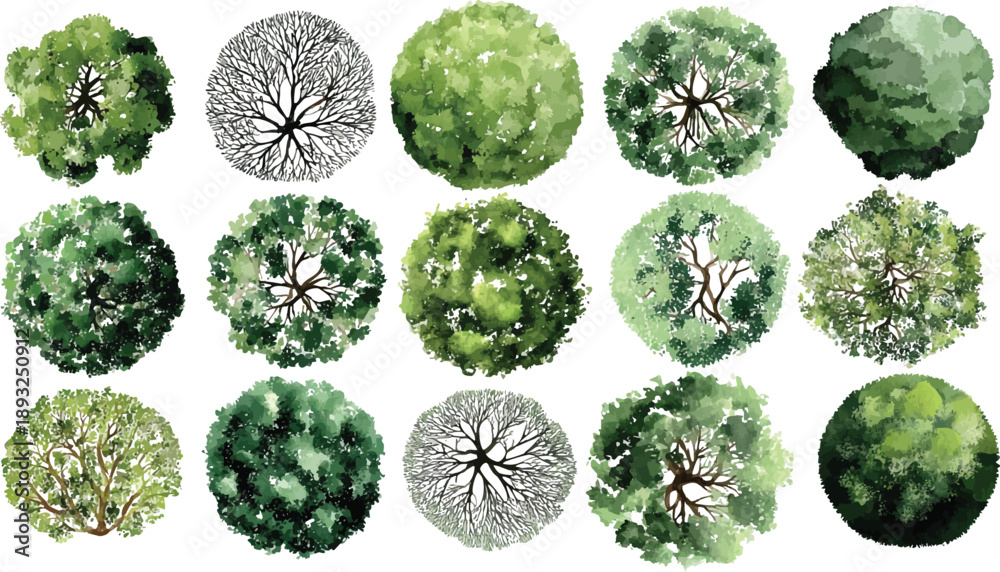 Fototapeta premium Collection of view tree in various green shades and styles overhead aerial