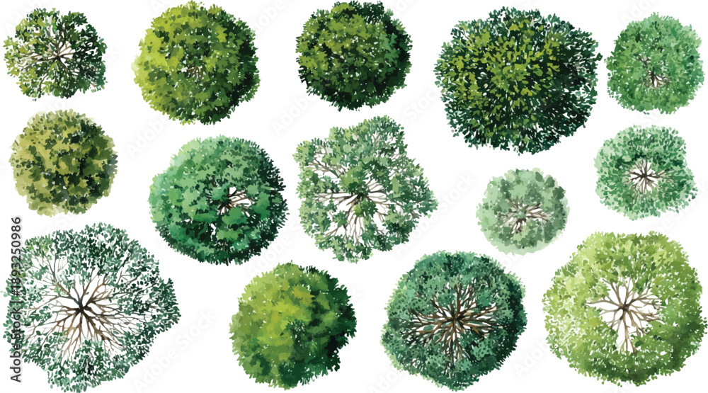 Fototapeta premium Collection of watercolor view trees diverse green foliage and brown branches overhead aerial