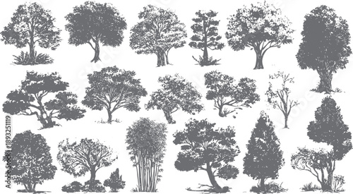 Collection of grey tree silhouettes with varied foliage and trunks nature plant