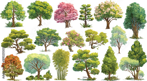 Collection of diverse illustrated trees in various colors and styles nature plant 1 green leaf