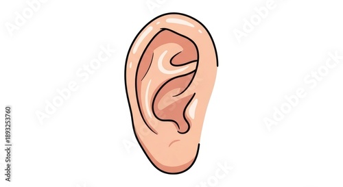 Cartoon illustration of a human ear on white background