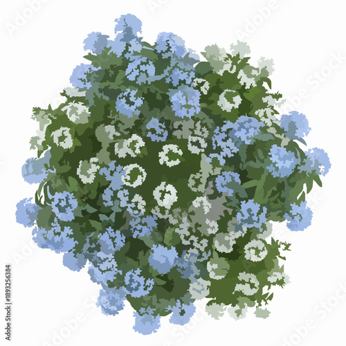 Top view plumbago and tabernaemontana flowering plants isolated on white background for landscaping