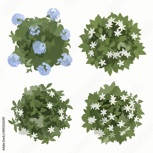 Vászonkép Realistic top view plumbago and tabernaemontana plants isolated on white backgro