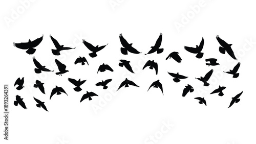 Flock of birds in flight Vector
