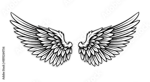 Detailed Illustration of Majestic Angel Wings Spread Open.