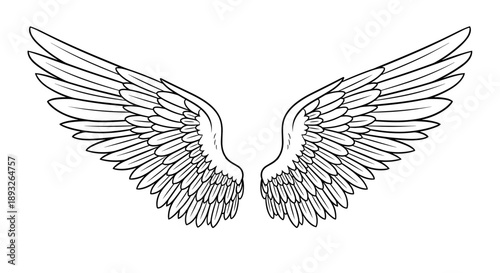 Detailed Illustration of Angelic Wings Spread Open.