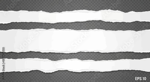 Torn Paper Stripes in Black and White.