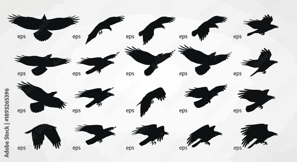 Fototapeta premium Multiple Black Birds Flying in Silhouette.