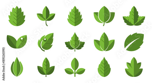 Collection of Various Green Leaves Shapes.