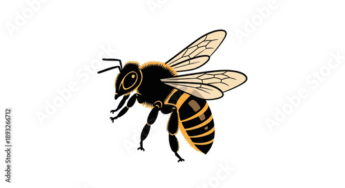 Black and Yellow Bee Illustration.