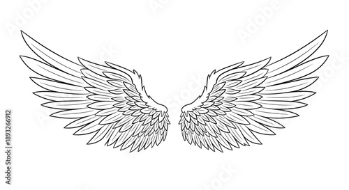 Detailed Outline Drawing of Angelic Wings Spread Open.