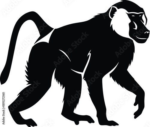 A baboon walking in a natural habitat, captured from a side viewpoint, showcasing its physical attributes and behavior in the wild.