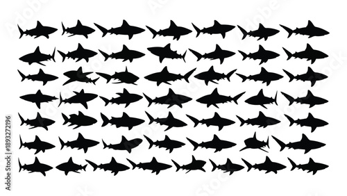 Repeating pattern of sharks Vector